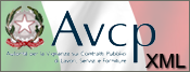 logo AVCP XML